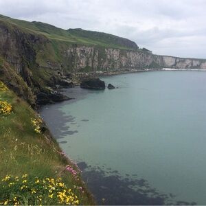 Meet your Posher, Holly